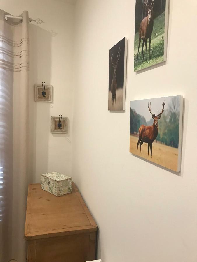 Apartament Neret II 索特 外观 照片